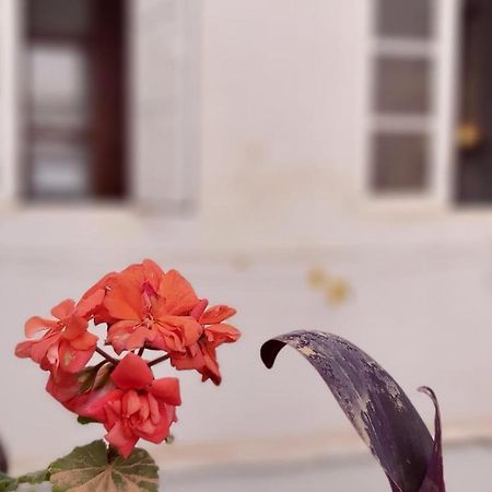 Del Parque Flats Alamos Terraza Apartment Malaga Ngoại thất bức ảnh