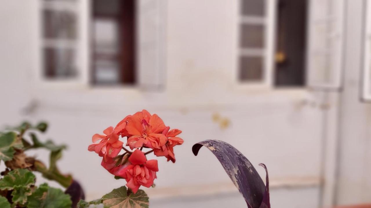 Del Parque Flats Alamos Terraza Apartment Malaga Ngoại thất bức ảnh