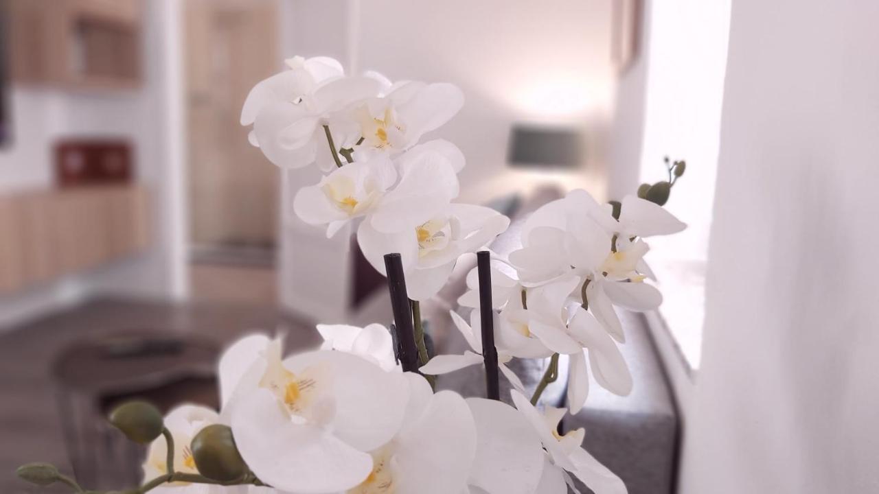 Del Parque Flats Alamos Terraza Apartment Malaga Ngoại thất bức ảnh