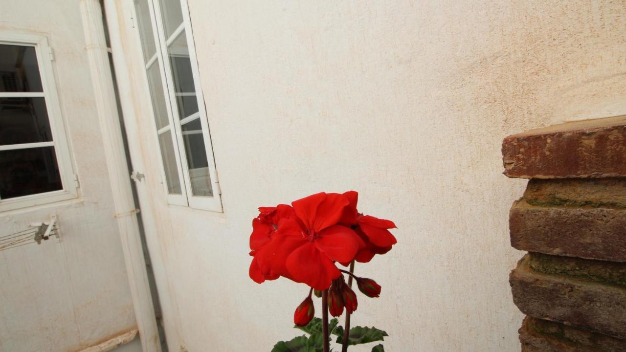 Del Parque Flats Alamos Terraza Apartment Malaga Ngoại thất bức ảnh